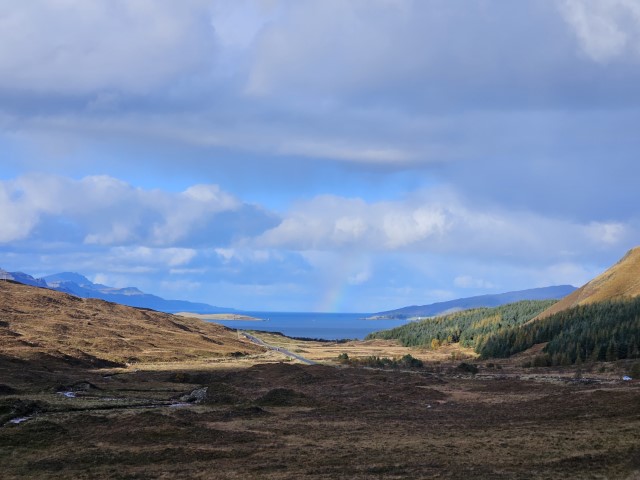 20231022_153752.jpg